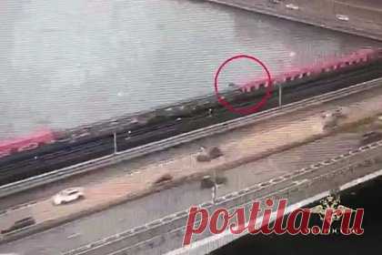 Зацепер залез на крышу поезда метро, спрыгнул с вагона в Москву-реку и попал на видео