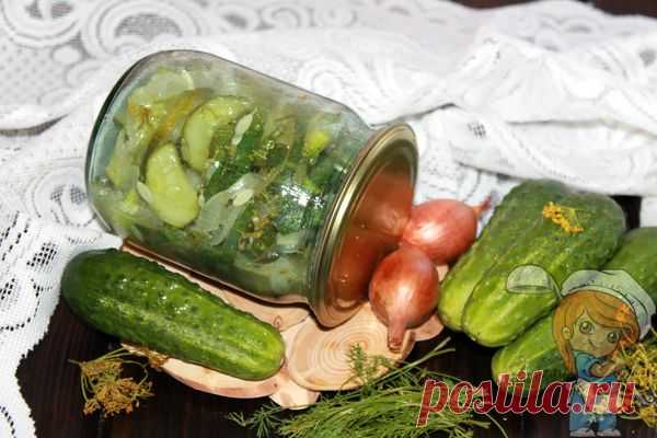 Зимний король, салат из огурцов на зиму | рецепт с фото Зимний король - салат из огурцов, заготовленный на зиму. Пикантные огурчики получаются сочными и хрустящими. Проверенный рецепт салата с хорошими отзывами