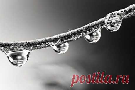 Польза или вред: 7 фактов о глицерине