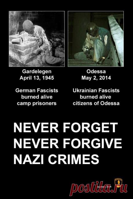 Суть Времени - СА - Рекомендуется к распространению