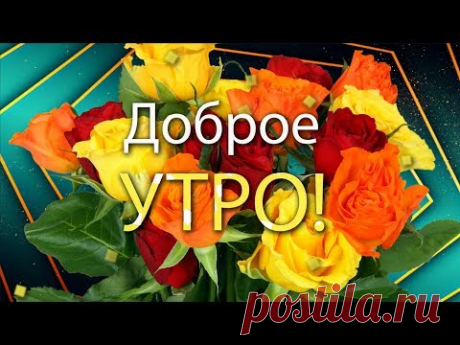 ✅Доброе утро! Эти прекрасные розы для тебя!✅Анимационная открытка 4К - YouTube