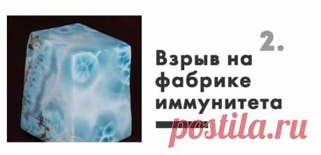 Бог – это статистика | ЖИВОЙ, ЕЩЕ ЖИВЕЕ