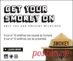 Роскошный Пюре, Рецепт от каждодневной еды, ноябрь 2009