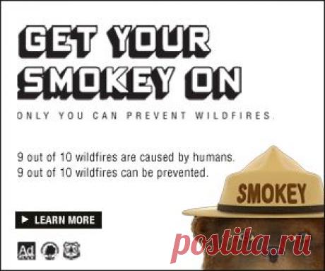 Роскошный Пюре, Рецепт от каждодневной еды, ноябрь 2009