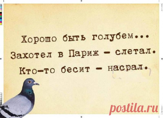 Смешные анекдоты для хорошего настроения