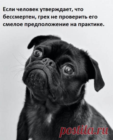 Мировые секреты | Яндекс Дзен