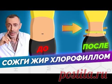 1 Стакан Хлорофилла в День Сжигает Жир на Животе! Как убрать живот.
