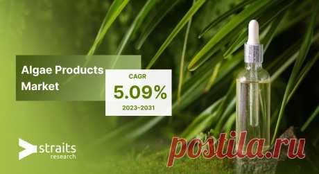 Algae Products Market Size, Demand to 2031
The global algae products market size was valued at USD 1,812.62 million in 2022, growing at a CAGR of 5.09% from 2023 to 2031.