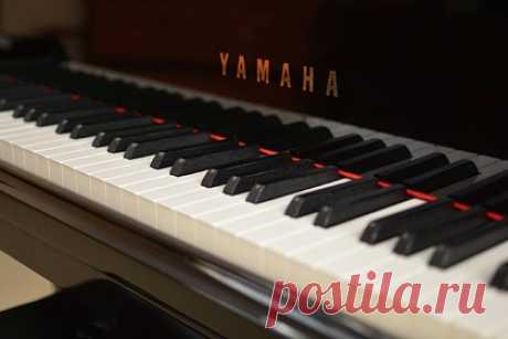Yamaha Music решила остаться в России. Японская Yamaha Music отказалась уходить из России. Производитель музыкальных инструментов и оборудования указал, что слухи о его уходе из страны являются недостоверными, российское представительство компании работает в штатном режиме, точки продаж работают в обычном режиме, запасы продукции на складах пока имеются.