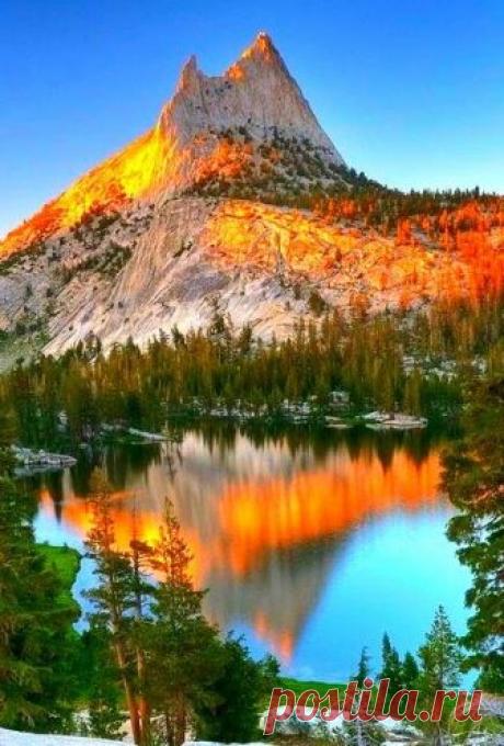 We & nature