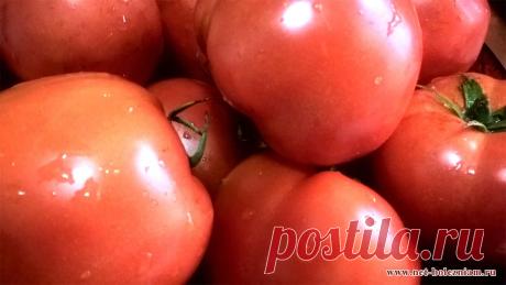 Помидор - чудесное лекарство от рака и сердечно-сосудистых болезней

На первый взгляд химический состав помидоров может показаться однородным: вода, мало жиров, мало белков... Но это не так! В них много калия, витаминов и даже есть такое вещество как ликопин.

Томаты участвуют в нормализации кровяного давления за счёт ввода в организм калия (которого в них больше чем натрия).