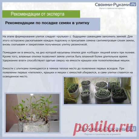 Посадка рассады в улитку - пошаговая инструкция!