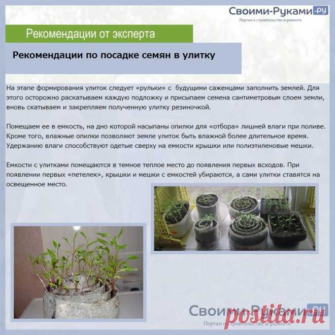 Посадка рассады в улитку - пошаговая инструкция!
