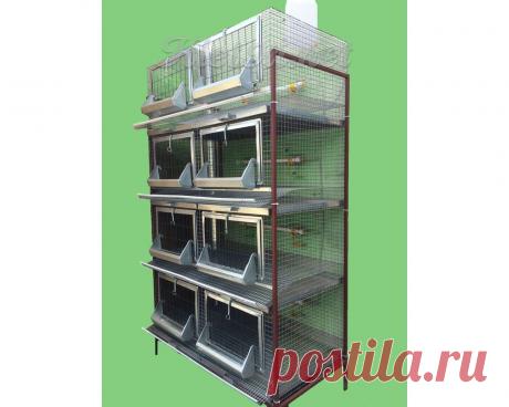 клетка для кур