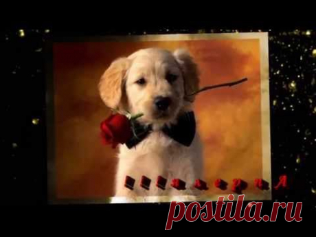 C1 Апреля! -   Есть цель?! Иди к ней! Не получается идти к ней? Ползи к ней! Не можешь ползти к ней? Ляг и лежи в направлении цели!