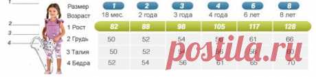 Размерная сетка одежды