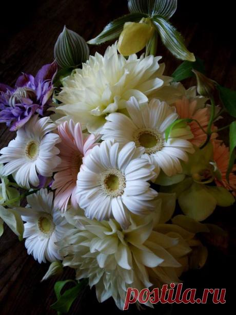 флористика