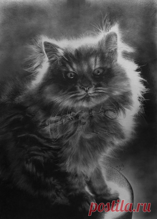 Paul Lung ,художник из Гонг-Конга
