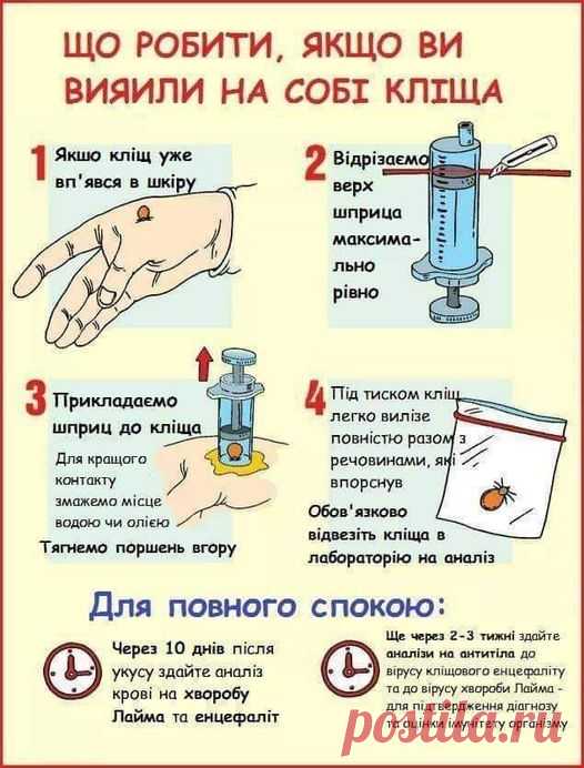 (20+) Facebook
