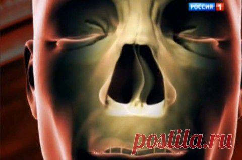 Искривление носовой перегородки. Последствия и лечение | Домохозяйки