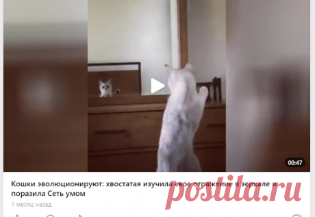 Дзен