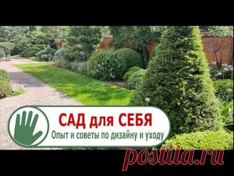 Видео журнал "СОФ №101"  САД для СЕБЯ. Опыт и советы по дизайну и уходу