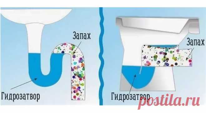 Зачем я заливаю в раковину подсолнечное масло | ТРИ ПОКОЛЕНИЯ | Яндекс Дзен