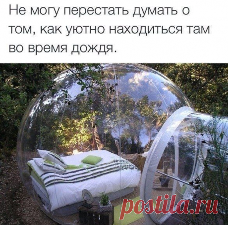 Садовые идеи и идейки | Дачный участок
