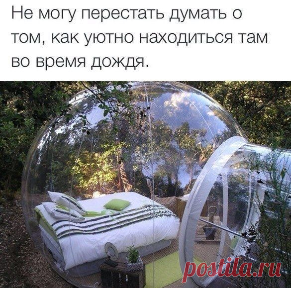 Садовые идеи и идейки | Дачный участок
