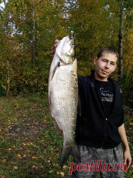 20.09.2014 жерех 4кг / Богатая добыча