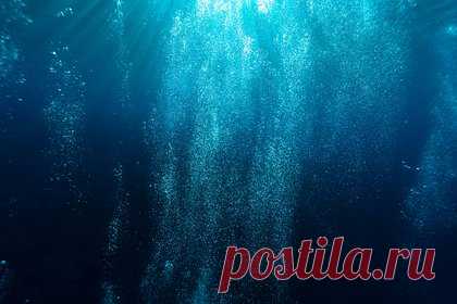 Российский глубоководный аппарат АС-36 совершил погружение. Глубоководный спасательный аппарат АС-36 совершил с судна-носителя «Михаил Рудницкий» учебное погружение в Кольском заливе. «В одной из бухт Кольского залива экипаж АС-36 отработал алгоритм приготовления подводного аппарата к действиям по предназначению», — заявили в СФ РФ.