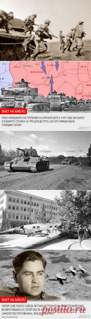 Коренной перелом. 5 малоизвестных фактов о Курской битве | История | Общество | Аргументы и Факты