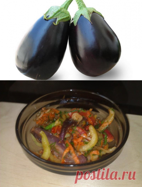 Что приготовить из баклажанов? Простые рецепты с отменным вкусом