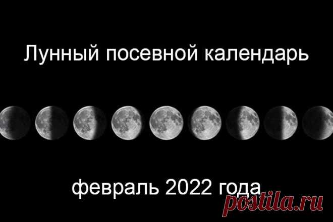 Лунный посевной календарь садовода на февраль 2022 года Посевной лунный календарь на февраль 2022 года подскажет благоприятные дни для посева семян на рассаду с точки зрения органического земледелия. Работы в феврале