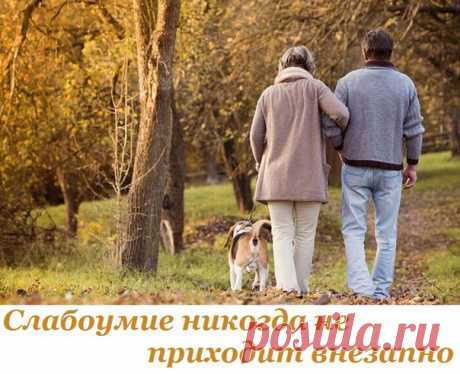 Слабоумие никогда не приходит внезапно... - Познавательный сайт ,,1000 мелочей" - медиаплатформа МирТесен