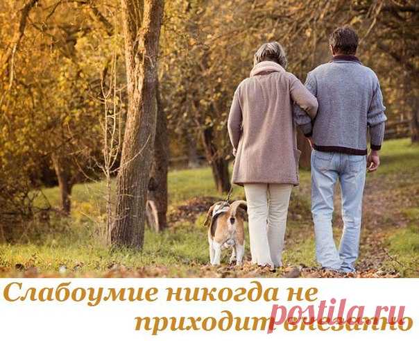Слабоумие никогда не приходит внезапно... - Познавательный сайт ,,1000 мелочей