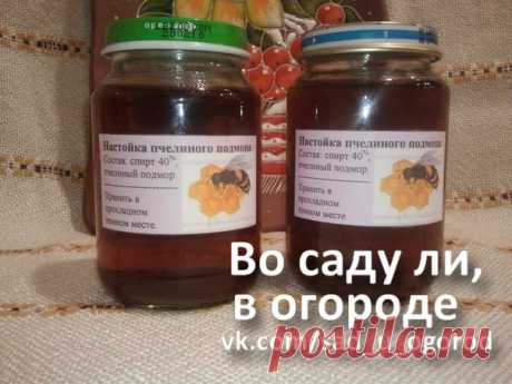 Удивительное средство укрепления стенок сосудов, улучшения памяти и повышения иммунных сил организма. 

Нужно взять 1 столовую ложку пчелиного подмора (пчеловоды знают, что это такое, а для остальных объясню - это трупики пчёл) измельчить его в порошок, залить 0,5 литра хорошей водки, настоять 2 недели, потом процедить и принимать по 15-20 капель после еды в течении 1 - 2 месяцев.

Показания: Стабилизация кровяного давления, сердечно-сосудистые заболевания, заболевания поч...