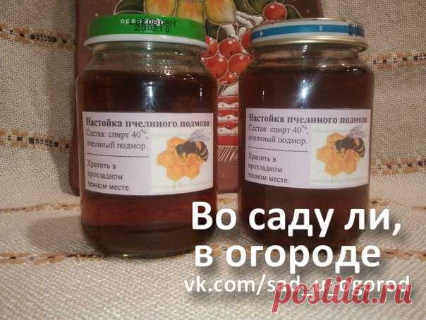Удивительное средство укрепления стенок сосудов, улучшения памяти и повышения иммунных сил организма. 

Нужно взять 1 столовую ложку пчелиного подмора (пчеловоды знают, что это такое, а для остальных объясню - это трупики пчёл) измельчить его в порошок, залить 0,5 литра хорошей водки, настоять 2 недели, потом процедить и принимать по 15-20 капель после еды в течении 1 - 2 месяцев.

Показания: Стабилизация кровяного давления, сердечно-сосудистые заболевания, заболевания поч...