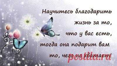 Сила благодарности.