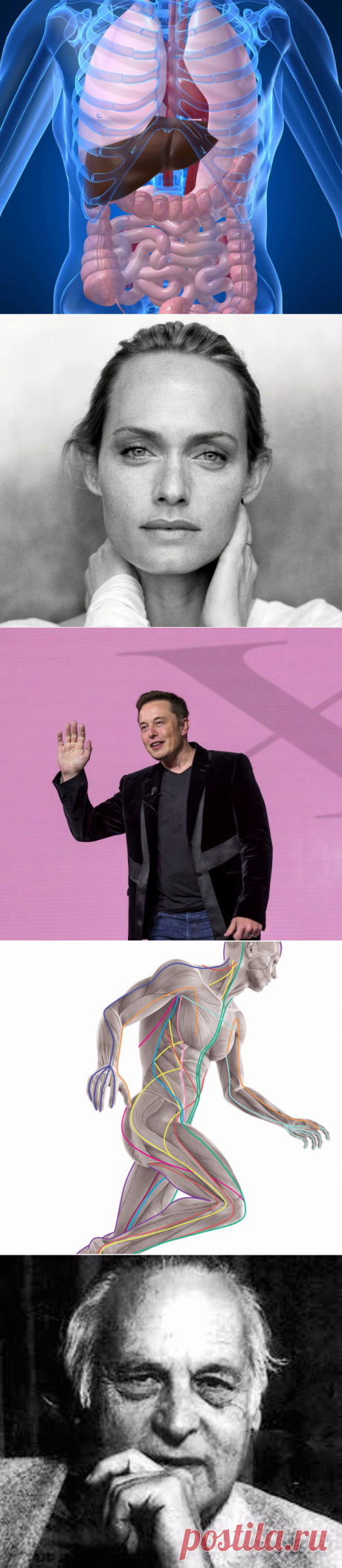 Онкология и паразиты: 3 первые схемы Евгения Лебедева