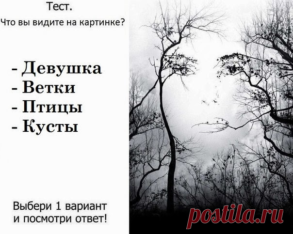 Психология. Психологические тесты: Что первым вы увидели на картинке? Тест точен на 96%