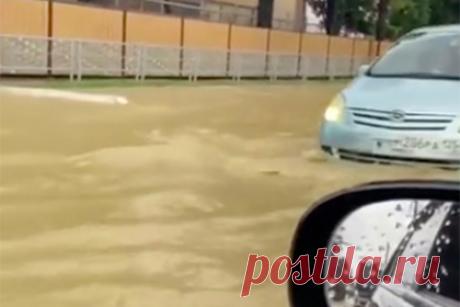 Затопленные из-за ливней улицы российского города сняли на видео. В Адлере из-за ливней затопило улицы города, видео с последствиями публикует РЕН ТВ. На кадрах видно, что автомобили едут по полностью затопленной улице, уровень воды достигает их фар. По данным, опубликованным на сайте Гидрометцентра, погода в Адлере в ближайшее время не улучшится.