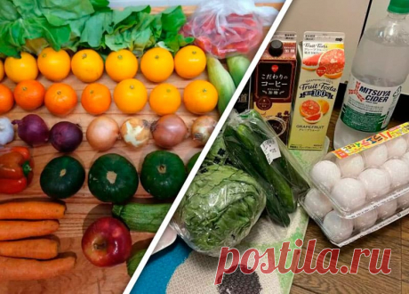 Жители разных стран показали свои продуктовые корзины и их стоимость