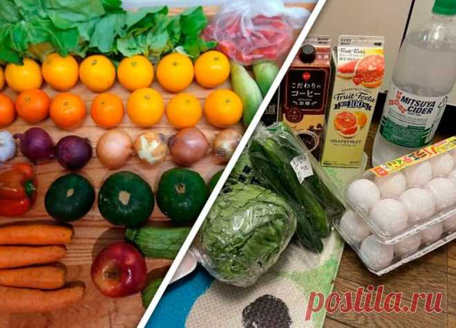 Жители разных стран показали свои продуктовые корзины и их стоимость