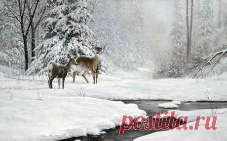 Художник Douglas R. Laird (Дуглас Лейрд). Часть 4.