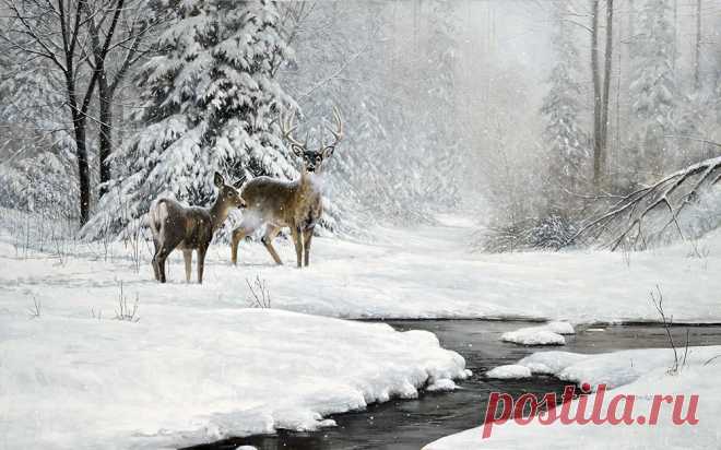 Художник Douglas R. Laird (Дуглас Лейрд). Часть 4.