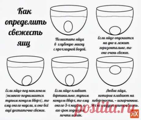 Определяем свежесть яйца