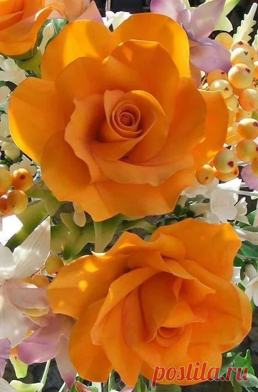 mara mara - Google+