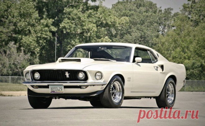 mustang