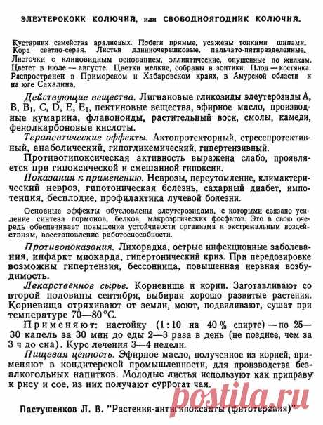 Элеутерококк колючий